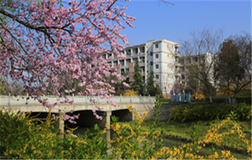 江苏食品药品职业技术学院：探寻学府之地，启航职业梦想
