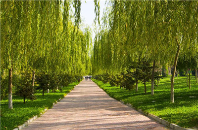 南京旅游管理考研可以跨什么专业